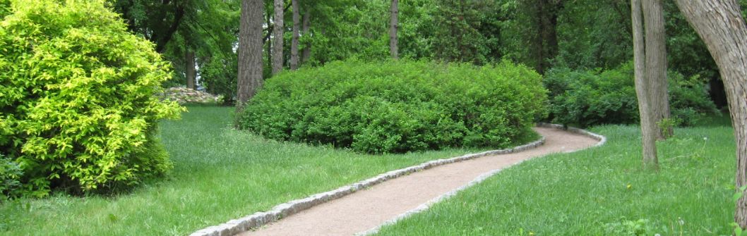 summer park with pathway